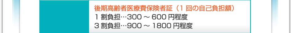 料金:後期高齢者医療被保険者証(1回の自己負担額) 1割負担…300~600円程度 3割負担…900~1800円程度