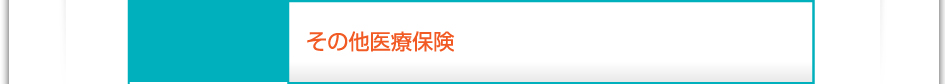 料金:その他医療保険